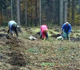 IUN4E75U1KLLCOK8KNOHP7QA9W5QCWL5