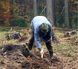 IYCW4HHPM7IUB3X3HPZRXQ6FRLWXC89Z