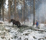 27NFUJST8TP8P6B1WJTD2X1SDX5GHNIV