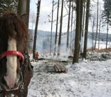 D1EO1LMO9BQXVGN1NYB923T3RQI89QYM