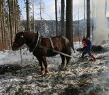 P3BJ9DYYVSY0D1JZGEQRR1AD8EJTK33O