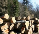 RQKH0JUV1LHPVLW8IQ6Q9Q5XBZWDFE8L