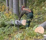 SOWT1UWJQUN0J2EKKOQS01V3H2XWEVG1