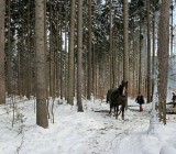 TCR2UDWFHO5IJOEGUGTPGO09GB6CZYHK