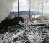 Y4P0E01TY6CH3LX2PT86LT9DIMVJ1TAT