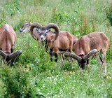 E5F1G8OMTDFST12SA8M4XKYR5FW3WQUM