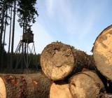 HI8YV4OGGLFV4IF1TIB1Y2BWR7L8Q5UI