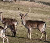 HWKVTDIDZ23FQM4G7LGX148TAX2YT2EH