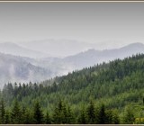 11M8BT1RJWOOX4QTNI61IYJ6DQ7PRZBC