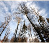 13XIYI5ANS9BC7FCLBFYFQULKBBA5W9G