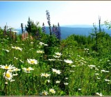 2ESA1GV5BNHBXVIYAK2NLSHAO8OLAH4Z