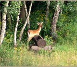 2WG49SYWOJ8WQ4LVKDV66YLWIO4NJ4WK