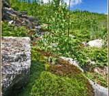 3WJK916X4J2S9XSL4F371P58P11ZW3MY