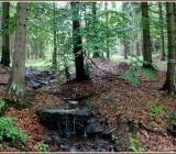 3XM16CZCQVNX8CPP01XMIUHMY99UO0IA