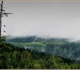 52Y54XJ94D3PCIDDWVPVS56IZN62P6M8