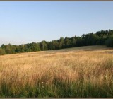 5722LA9OUJQAJ89DRTZKH06S9KI4UNM1