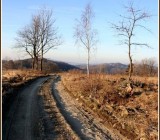 5QQ7BLMG0KQ2UHNMDI80ESA6IU5LWEFW