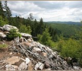 A3LLQLRZS1E114KS1UGSSGIOB21ODMML