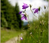 BD4FVR0U31QV6SKYCFQWDR113EPYY4RP