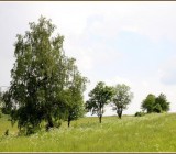 DXQQZH9AUUOMW9ZQ8819EBX45BCGR6XB