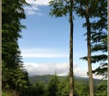 FKZQ9UNEGATGAZZ67PN0KIG5SJD5JHA4