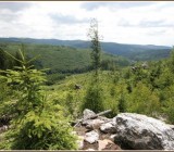 IETO9DRNXHZD1UHOOGVF6YVZR11RKC4R