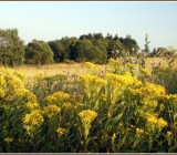 JUA6NKD5W6Z7XMCRPZ2WPC2QGXPKS8MR