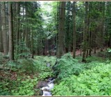 JX1UG2FX6DN9RPL4Z8F6TQU1E4L9JN99