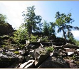 L4U2P5FTQKCR6QV0AMCMTTJVHZ93X4OY