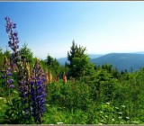 LJS9SR1P0CC3V17UG8BW3WSUX6E4DLLA