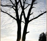 LL7UJW5525MJJH1VA20ZYDQQZX8CTT8O