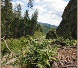 M3S1I4D9CSDACWCXTIXEFL5ZVR0LSJRJ