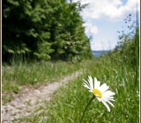 OL8TET02DX1HJIG4RXHQKL2ZSU55U47C