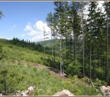 OLAK0RKOLL54KO9A4PHM81TN7SXS6MJU