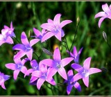 PX2KUWDSMALR5JX54Y981SL3XYO20HP0