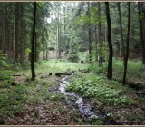 QW6AL51OQ3AX4ERX9QQA0GW78VEE20C2