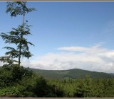 SEQ8GZB2ZY3O8OTQN1M9X510U67MEQYT