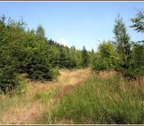 SUKK1Q2MBUVOKWIWCW8XK0NABZL7L8V9