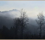 ULN6OOQ1AQC58A6FRD2PCYVC5G0O5ZXG