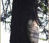 UQICW3EZ8TA66S5ES4JQBH35W6YN3C4J