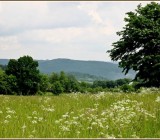 XJRI7J76VZOPHD9FG0Z4D5HU5LYWT19V