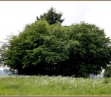 Y5PPY42WY0TTM4ELPLLA1GQSNZOCXTHM