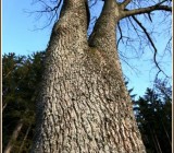 Y8HWPQ5J8J9JKLLH6SC9NYM8JQZGG3QU