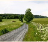 ZSFELA83YVZSGN7X55G4P87JR89IMZHU